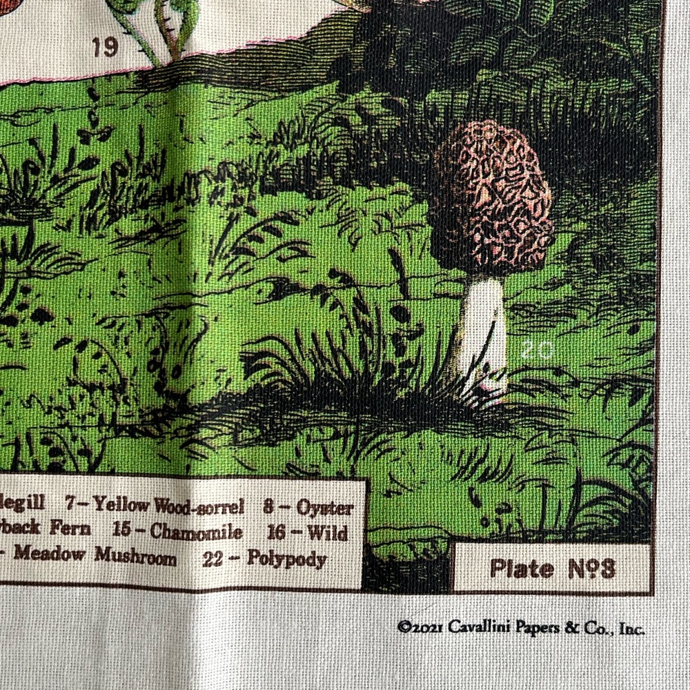 🎈2/$30 - NWOT “FORAGING Plants and Mushrooms” 100% Cotton Tea Towel - Picture 5 of 7